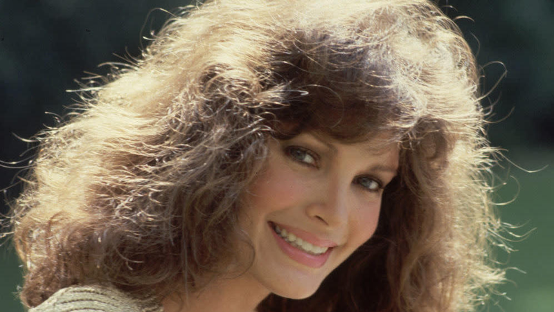 Jaclyn Smith and her majestic hair, circa 1981.
